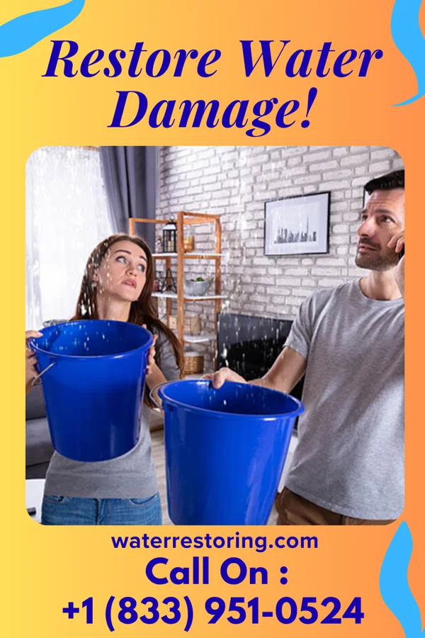 water restoration Lightning Disaster Cleanup Company Hemlock Farms