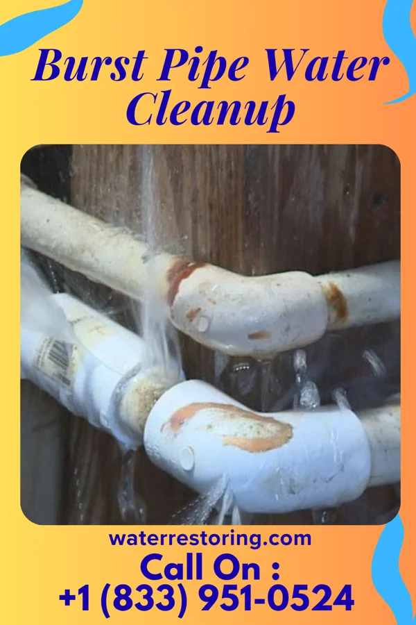 Burst Pipe Water Cleanup in Hemlock Farms, PA