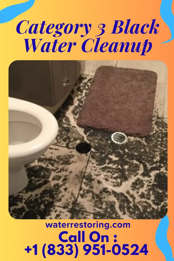 Category 3 Black Water Cleanup in Hemlock Farms, PA