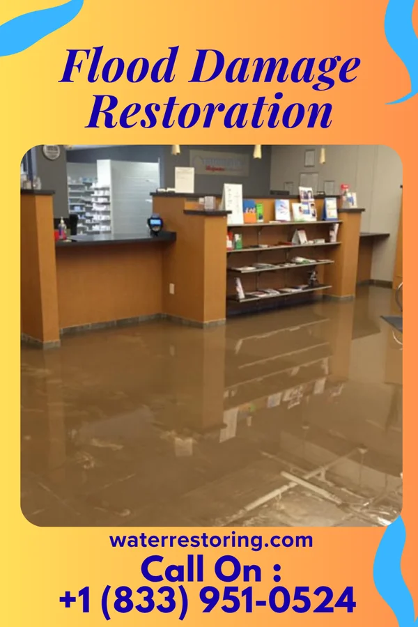 Flood Damage Restoration in Hemlock Farms, PA
