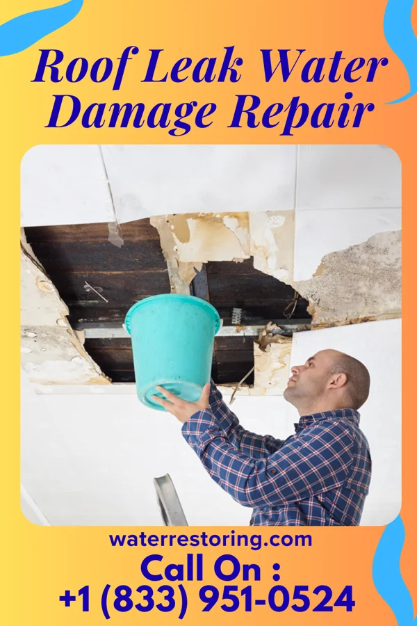 Roof Leak Water Damage Repair in Hemlock Farms, PA