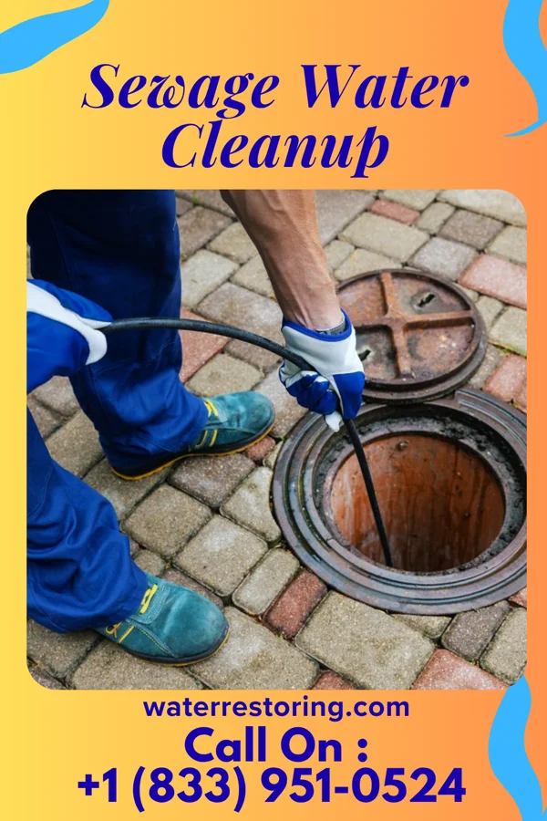 Sewage Water Cleanup in Hemlock Farms, PA