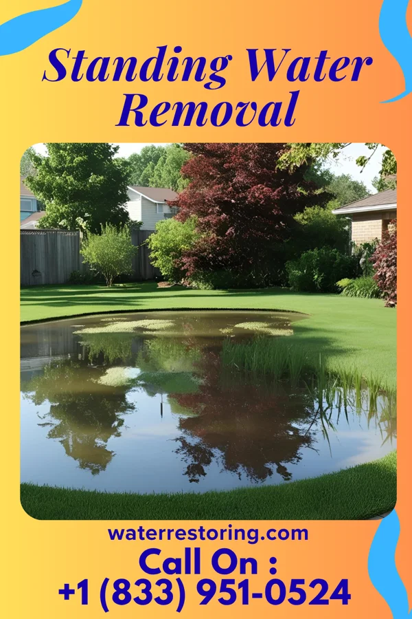 Standing Water Removal in Hemlock Farms, PA